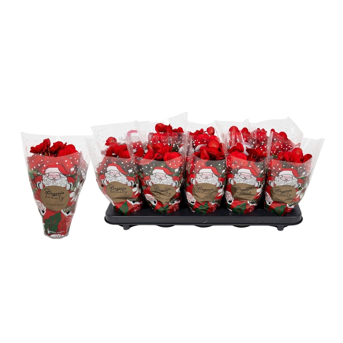 <h4>BEG DU BALADIN</h4>