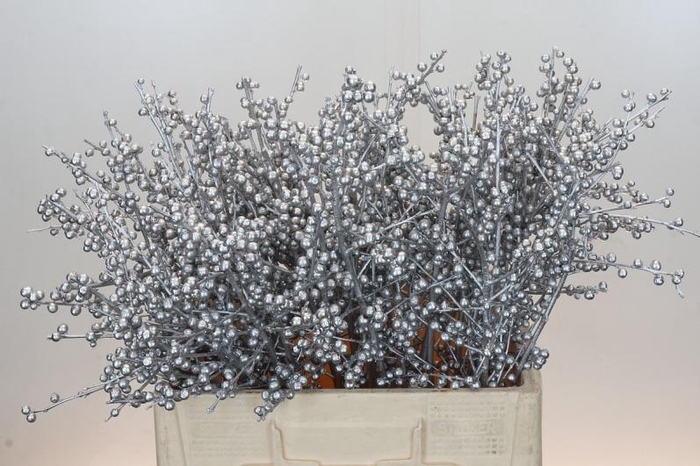 <h4>Ilex Painted Silver</h4>