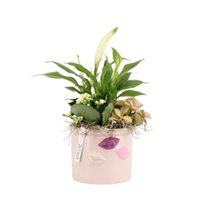 21573: Lovess arrangement