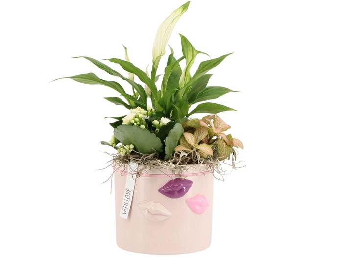 <h4>21573: Lovess arrangement</h4>