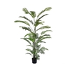 Silk Plant Areca Palm L250D130