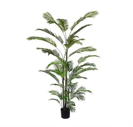 Silk Plant Areca Palm L250D130