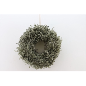 Wr Asparagus Wax Antique Olive 23cm
