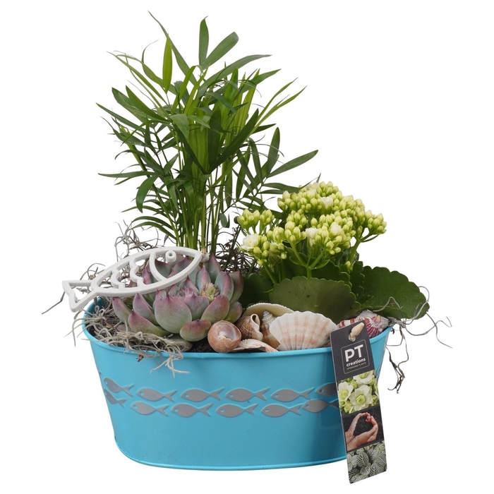 <h4>Arr.   Planten L%</h4>