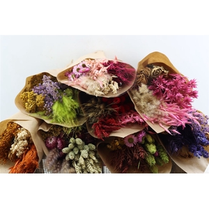 Dried Bqt Large Mix