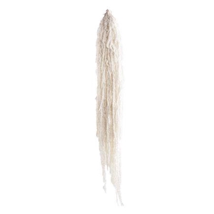 Amaranthus White