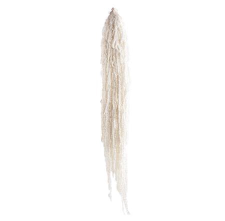 <h4>Amaranthus White</h4>
