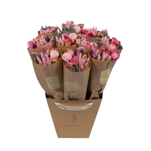 <h4>Droogbloemen-Market More 50cm - Pink</h4>