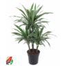 <h4>45-carrousel 4 stek/pot</h4>