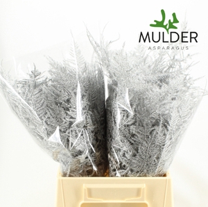 Asp Klb H% 1e Veren Silver