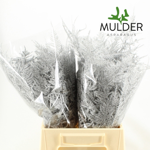 <h4>Asp Klb H% 1e Veren Silver</h4>