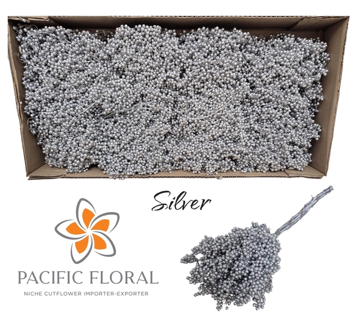 <h4>SCHINUS M DEC BES BS</h4>