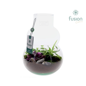 Green Bottle Olaf Medium met arrangement