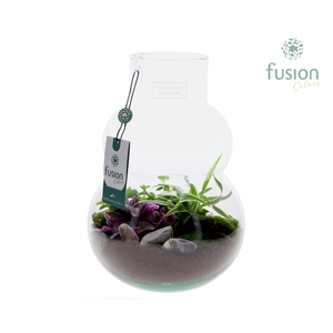 Green Bottle Olaf Medium met arrangement