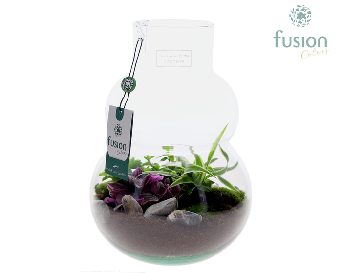 <h4>Green Bottle Olaf Medium met arrangement</h4>