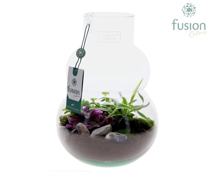 <h4>Green Bottle Olaf Medium met arrangement</h4>