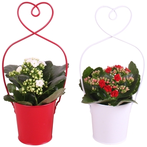 Valentine Arr. Indoor Metal Framepot + Heart Ø15cm 1PP