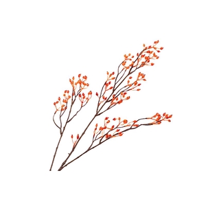 Rosehip Branch Corallo Orange