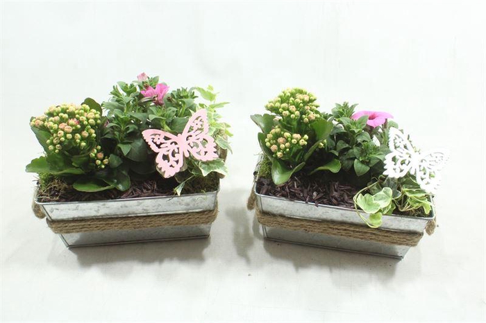 <h4>1247 ZINK RH TUINTJE</h4>