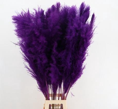 <h4>DF Pampas 130cm Dark Lilac</h4>