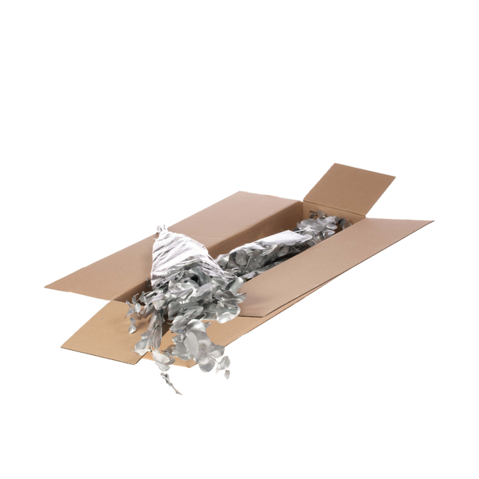 <h4>Eucalyptus Esp Pres Sb Sl</h4>