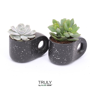 TRULY succulent, Penguin pot Black