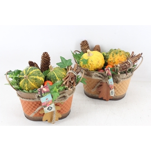 arr4 Sierfruit JS - Zink ovaal autumn mix
