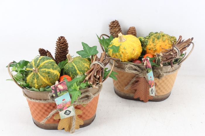 <h4>arr4 Sierfruit JS - Zink ovaal autumn mix</h4>