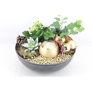 arr2 MB - Kunstst. schaal L x2 gold 1wax