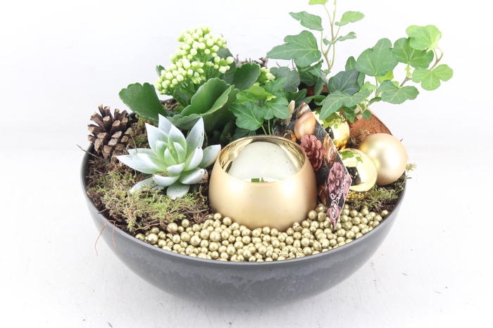 <h4>arr2 MB - Kunstst. schaal L x2 gold 1wax</h4>