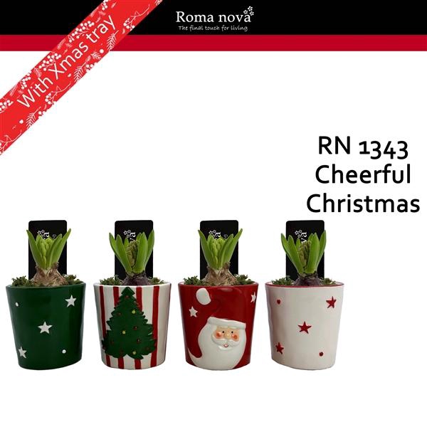 <h4>Arrangementen Hyacinthus 6%</h4>