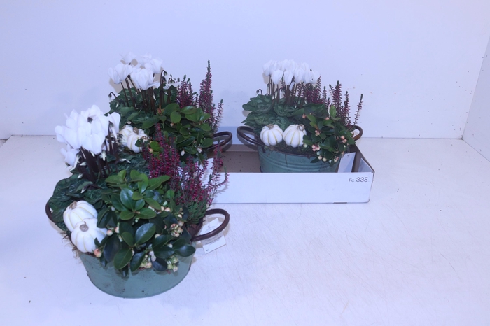 <h4>ARR TUINPLANTEN</h4>