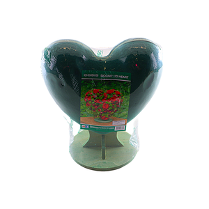 Oasis Heart 3D Big Bioline