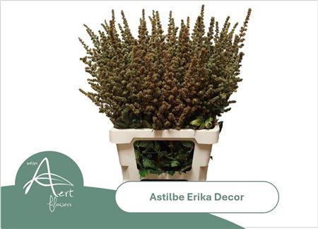 <h4>Astil Ar Erika Decor</h4>