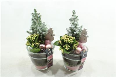 <h4>3523 ROZE POT ZWAAR</h4>