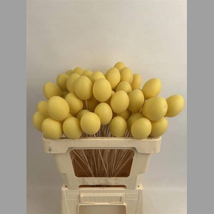 PAAS EI GEEL 7 CM OP STOK