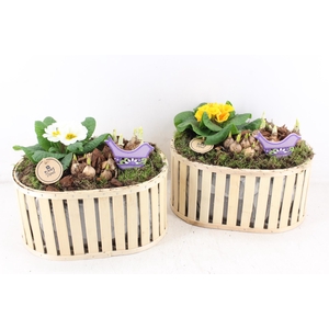 arr4 Primula PL - Hout ovaal speilen XL