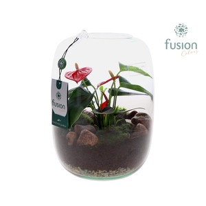 Green Bottle Isabella Large met Anthurium