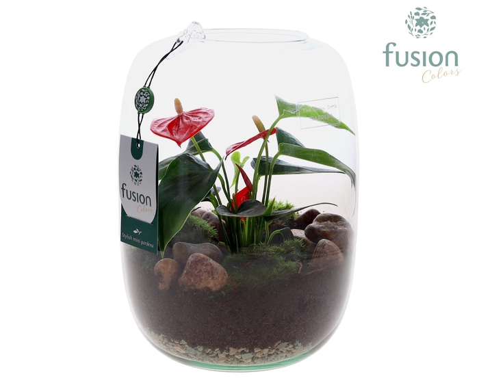<h4>Green Bottle Isabella Large met Anthurium</h4>