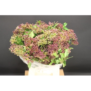 Vibur Met Bes 400gr