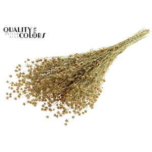 Lino Vlas p/bunch in poly Natural