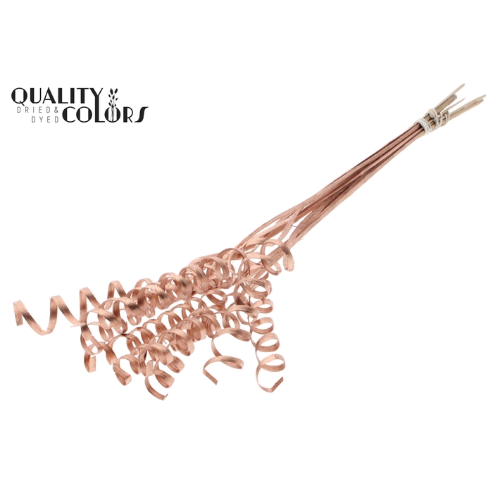 <h4>Cane Spring on stem Copper</h4>