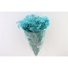 Pres Gyps Bq Light Blue Bunch Slv