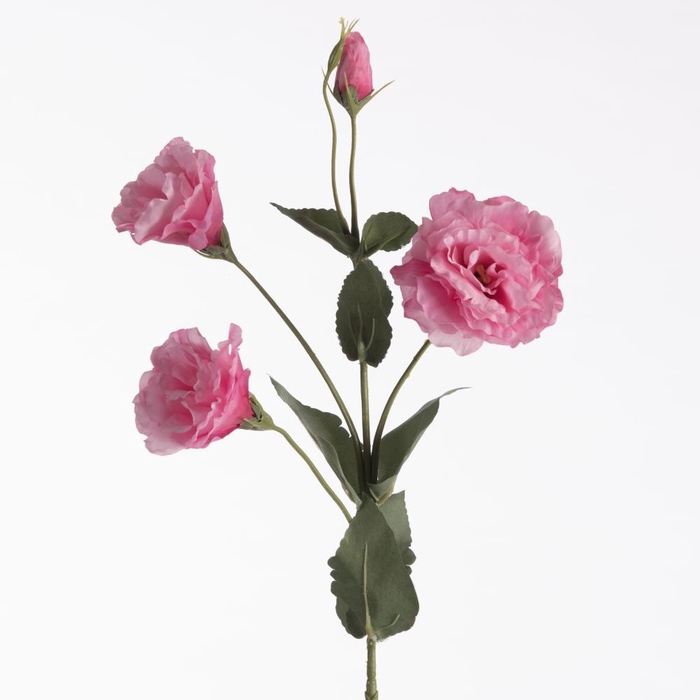 <h4>AF Lisianthus x4 L68cm D.Pink</h4>