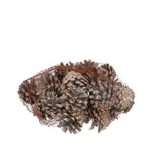 Pine cone Sylvester 200g