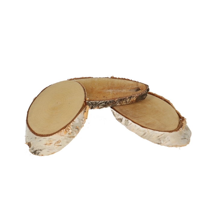 <h4>Dried articles Woodslice birch d20*11cm</h4>