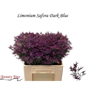 LIM SAF DARK BLUE