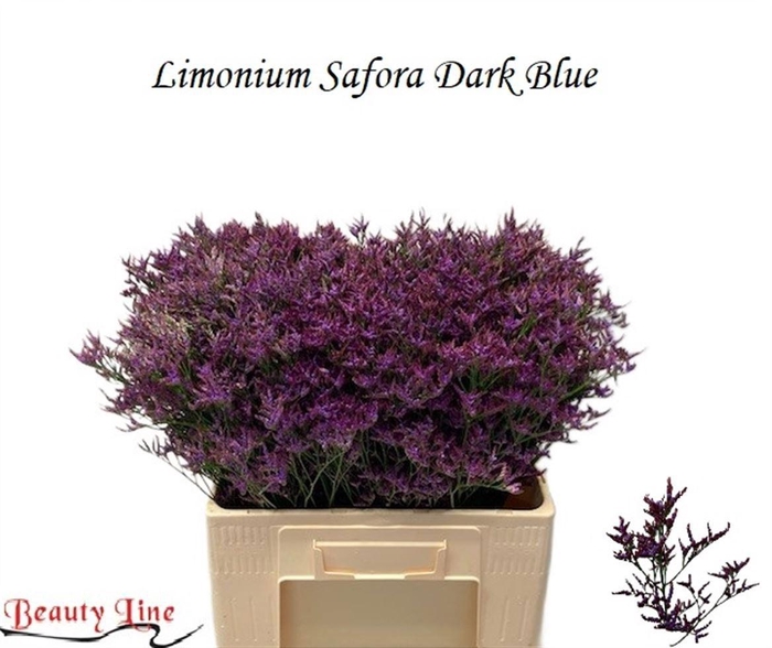 <h4>LIM SAF DARK BLUE</h4>