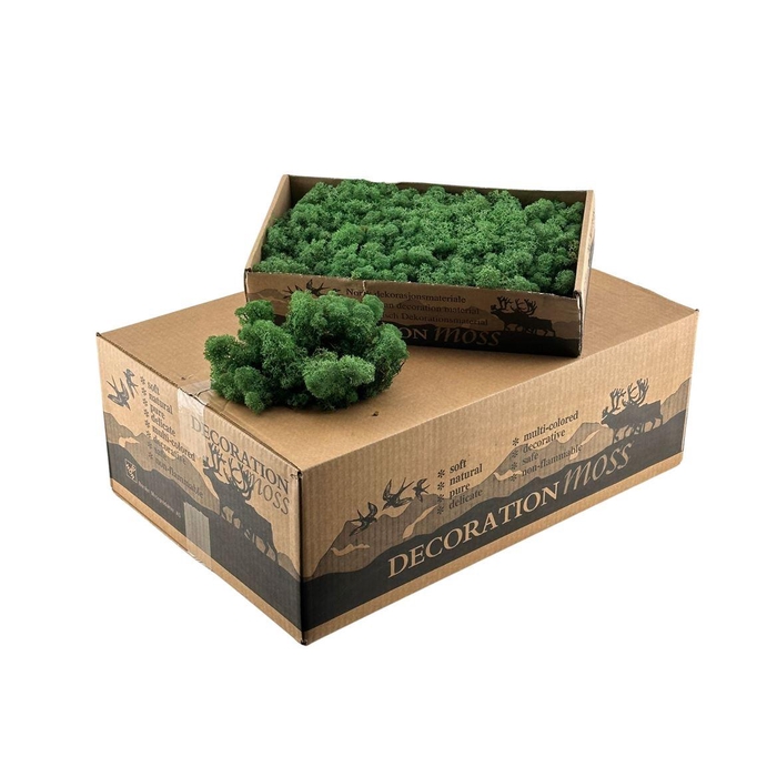 <h4>Ijslandsmos Gras Groen</h4>