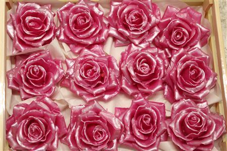 <h4>Wax Roos Parel Cerise</h4>